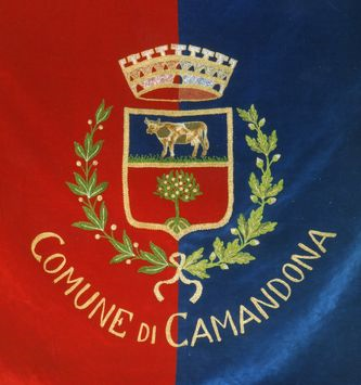 Lo Stemma Comunale
